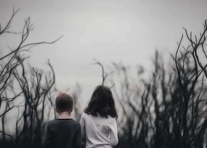 【专业破解版】免费下载的器测压文章